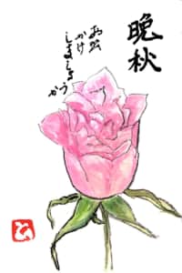 晩秋 お出かけしましょうか 〜ピンクのバラの花〜