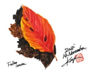 深まる秋に、赤い落葉