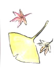 イチョウと紅葉