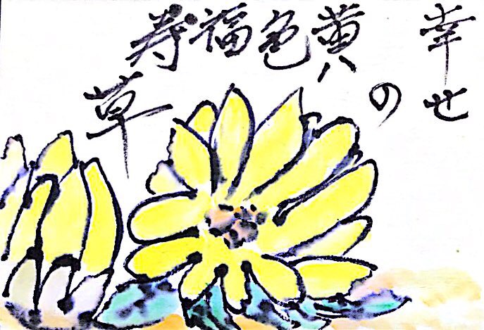 黄色の福寿草の花