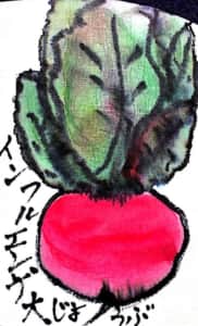 インフルエンザ大じょうぶ 〜赤かぶのお見舞い〜