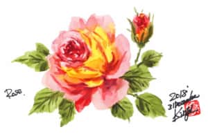 大晦日のバラの花