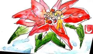 赤いポインセチアの花