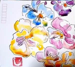 色とりどりのパンジーの花