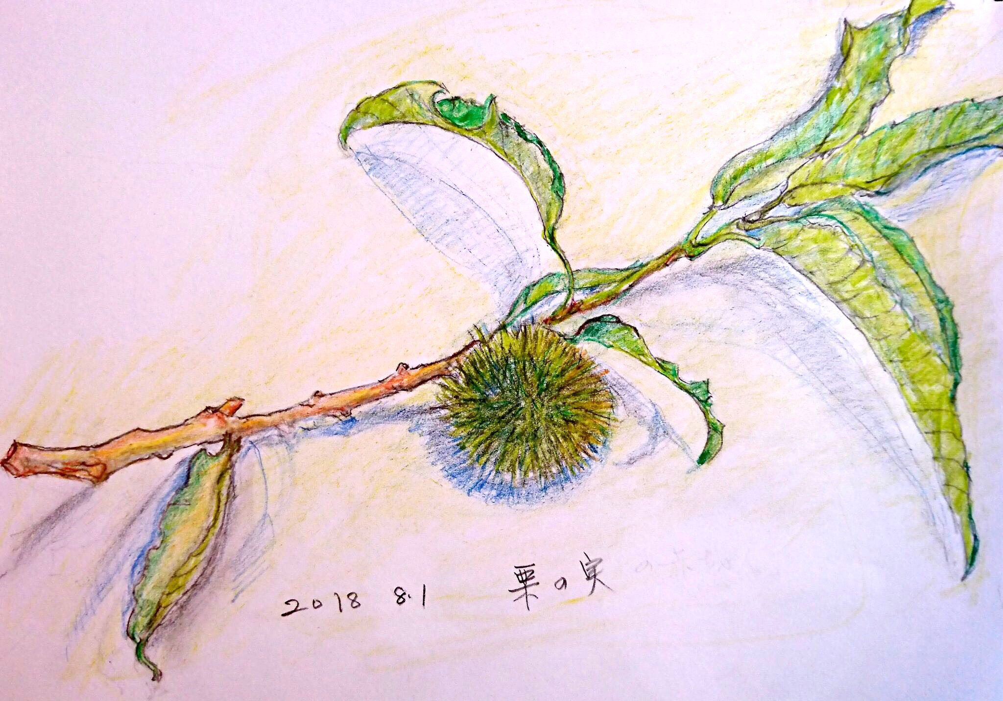 いがぐり