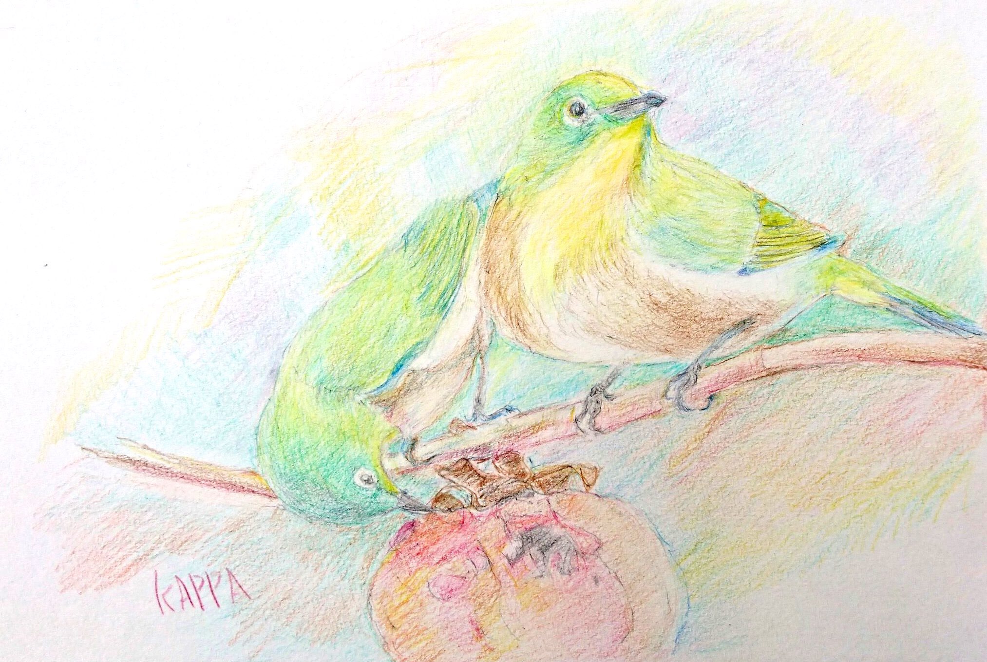 二羽のうぐいす