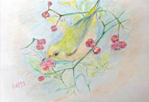 マユミの実とメジロ