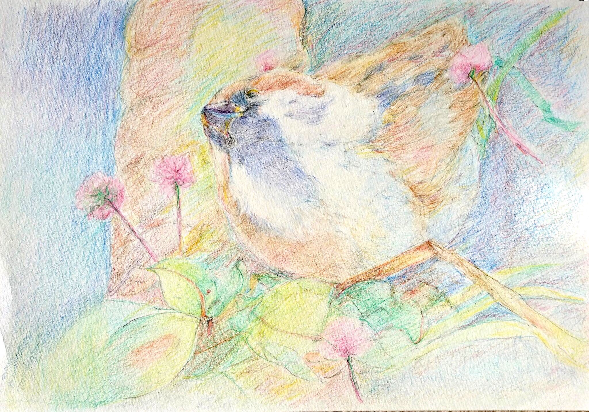 桜の枝にすずめ