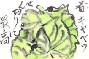 春キャベツ 千切りに最高