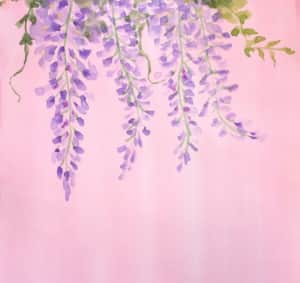 藤棚から垂れる藤の花