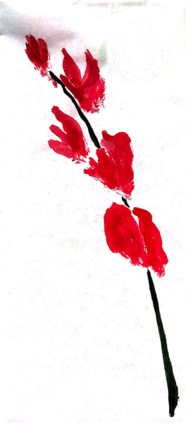 赤いスイートピーの花