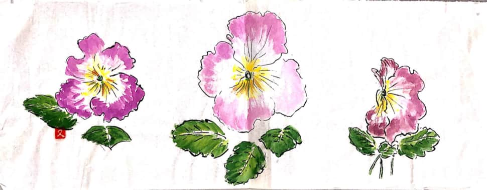 ピンクのプリムラジュリアンの花
