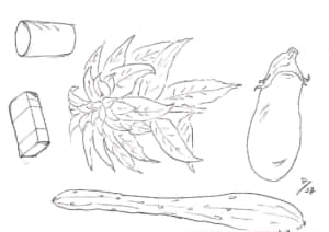 茄子やきゅうり、夏のデッサン