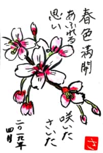 隅田川のさくら