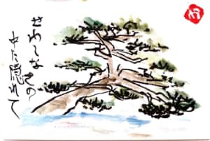 せわしなさの中に隠れて 〜松の木〜
