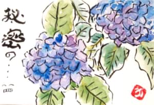 秘密の… あじさいの花