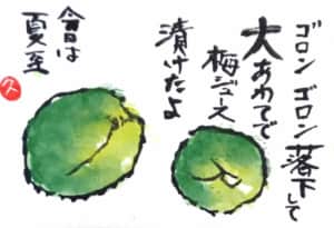 夏至