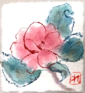 ピンクの椿の花