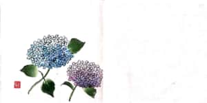 大きな和紙にしたためた紫陽花