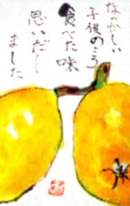 びわの実