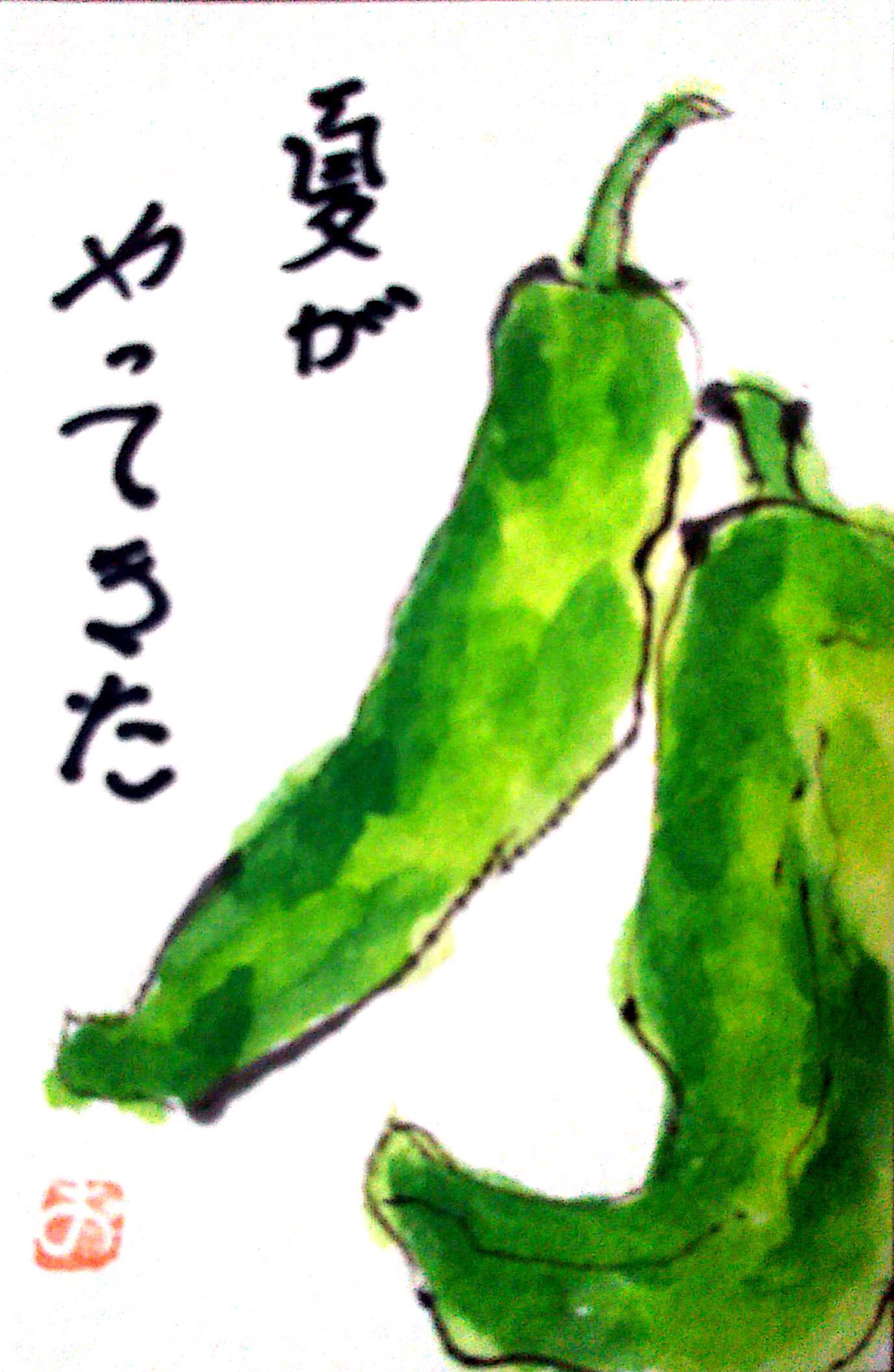 夏がやってきた 〜ししとうの絵手紙〜