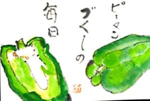 ピーマンづくしの毎日