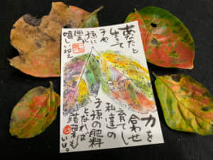 落ち葉