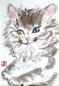Cat１