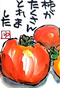 たくさんとれました