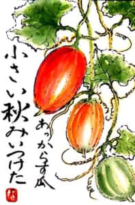 あっ  からす瓜