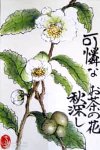 可憐なお茶の花