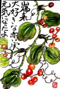 山帰来の赤い実