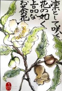 上品なお茶の花