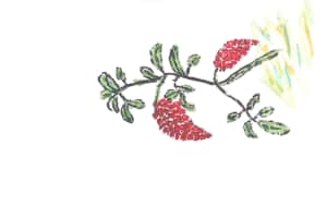 南天の実のデッサン③