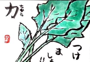 うちの野菜