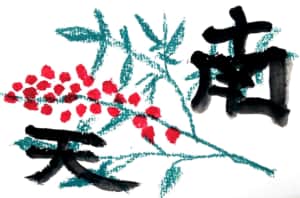 南天の実