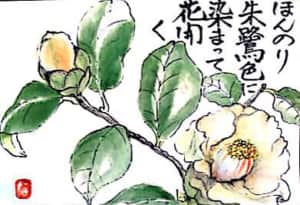 ほんのり朱鷺色の椿