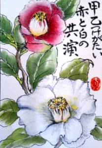 赤い椿と白い椿