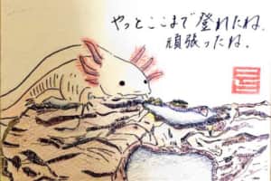 ペットのルーファス