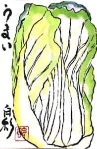 うまい白菜