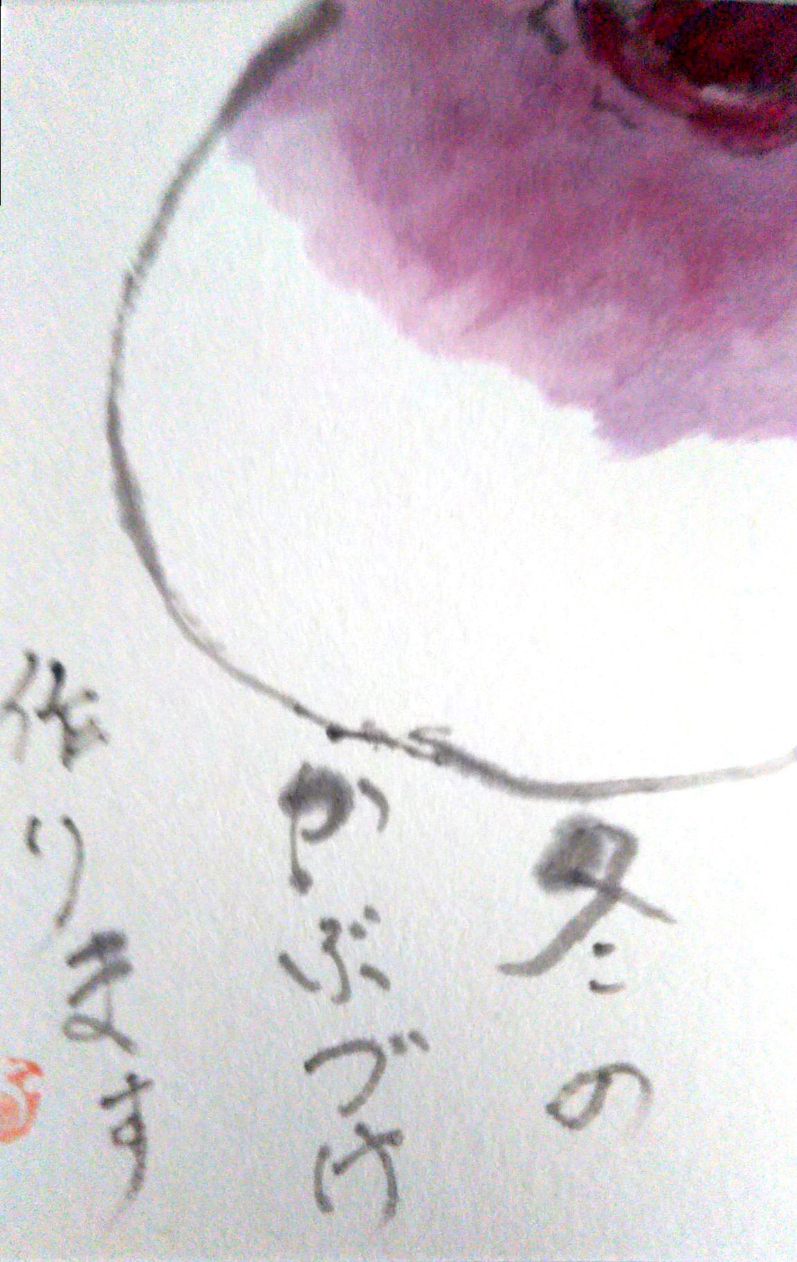 冬の かぶ漬け 作ります