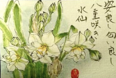八重咲き水仙