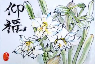 八重咲き水仙