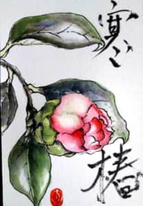 寒椿
