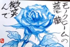 モノクロームの薔薇