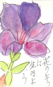 紫の花
