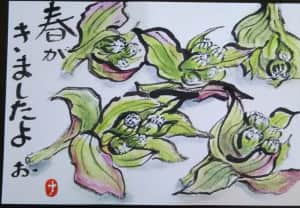 蕗のとう