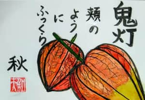 鬼灯(ホオズキ)