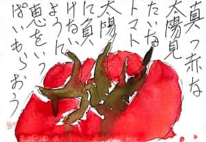 真っ赤な太陽みたいなトマト 太陽に負けないように恵、いっぱいもらおう