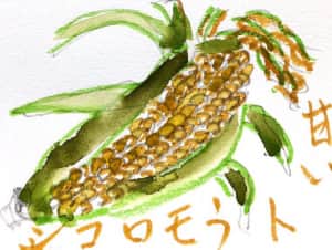 甘いトウモロコシ